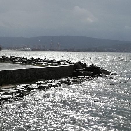 Guesthouse Skofije Ob Parenzani Spodnje Skofije Zewnętrze zdjęcie